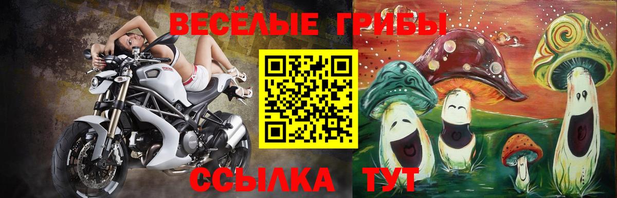 Калач-на-Дону  Галлюциногенные грибы Psilocybine cubensis  Галлюциногенные грибы мухоморы  Вход с VPN 
